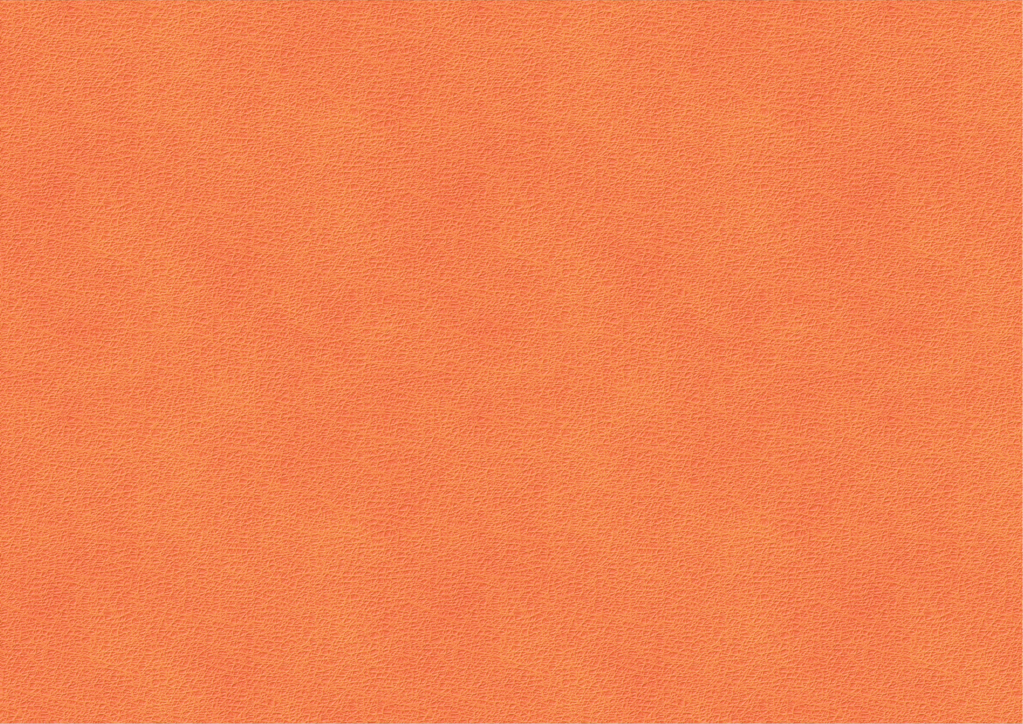 PUTTIARTS